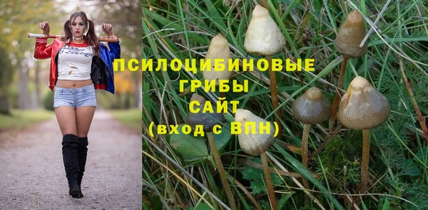 амф Алзамай