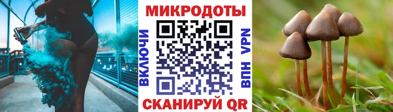 где продают KRAKEN Псилоцибиновые грибы мухоморы даркнет официальный сайт Трёхгорный